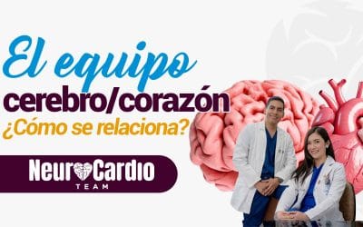 El equipo cerebro/corazón ¿Cómo se relaciona?