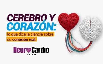 Cerebro y corazón: lo que dice la ciencia sobre su conexión real