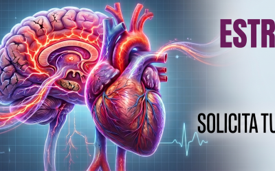 El impacto del estrés en tu corazón y tu cerebro: lo que realmente ocurre dentro del cuerpo