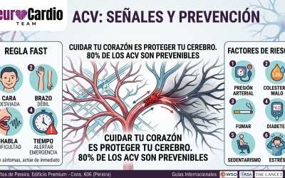 El rol del flujo sanguíneo cerebral en la memoria y el rendimiento cognitivo