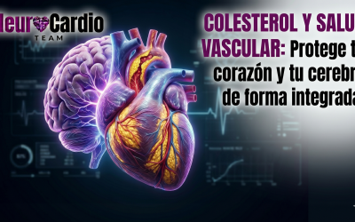 Colesterol y salud vascular: lo que realmente debes saber para proteger tu corazón y tu cerebro