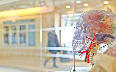 Las señales silenciosas de la Esclerosis Múltiple: Por qué un diagnóstico temprano cambia tu futuro
